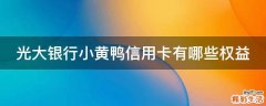 光大银行小黄鸭信用卡有哪些权益