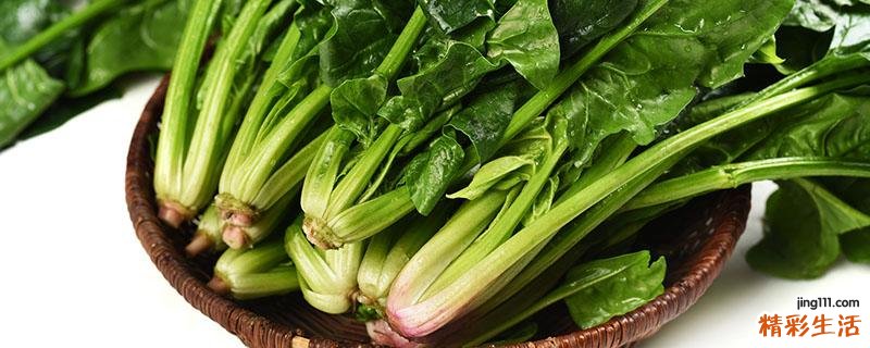 天天吃菠菜可以减肥吗 菠菜怎么吃有才能减肥