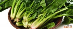 菠菜怎么吃瘦身 菠菜为什么不能晚上吃