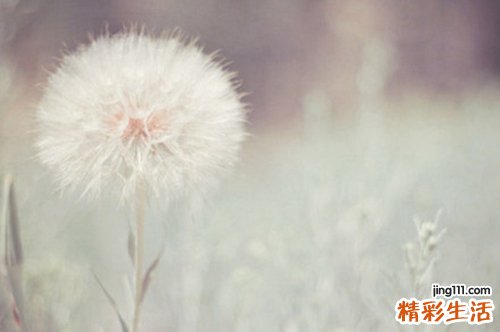 成为男人第几个女友最幸福?