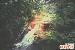 鼻子红血丝是怎么回事？