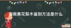 海南黄花梨木鉴别方法是什么