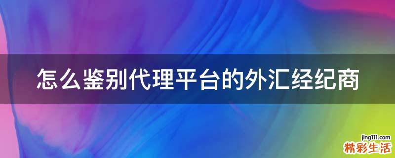 怎么鉴别代理平台的外汇经纪商