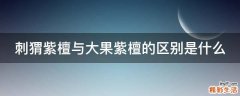 刺猬紫檀与大果紫檀的区别是什么