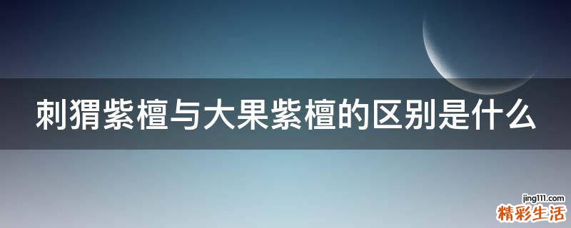 刺猬紫檀与大果紫檀的区别是什么