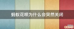 蚂蚁花呗为什么会突然关闭