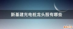 新基建充电桩龙头股有哪些