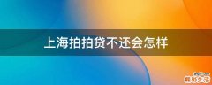 上海拍拍贷不还会怎样