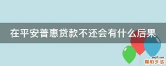 在平安普惠贷款不还会有什么后果