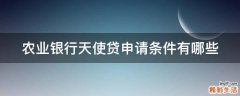 农业银行天使贷申请条件有哪些