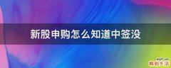 新股申购怎么知道中签没