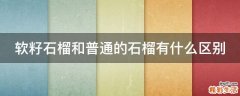 软籽石榴和普通的石榴有什么区别