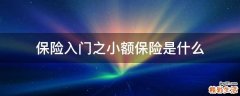 保险入门之小额保险是什么