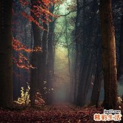 不要完全相信上面所说的