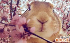10大男人娶妻子的心理秘密