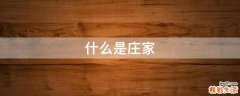 什么是庄家