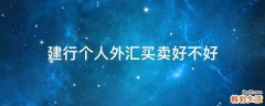 建行个人外汇买卖好不好