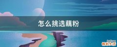 怎么挑选藕粉