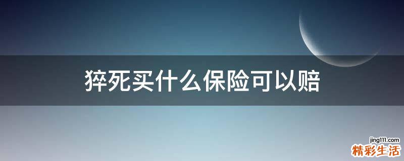 猝死买什么保险可以赔