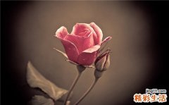 2 100对幸福夫妇8大婚姻公式