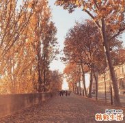 2 几天洗一次头才健康？