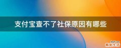 支付宝查不了社保原因有哪些