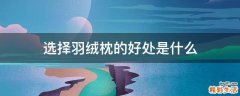 选择羽绒枕的好处是什么