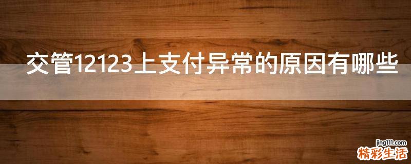 交管12123上支付异常的原因有哪些