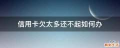信用卡欠太多还不起如何办