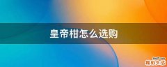 皇帝柑怎么选购