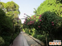 中医助女人补肾
