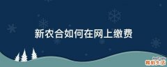 新农合如何在网上缴费