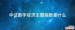 中证数字经济主题指数是什么