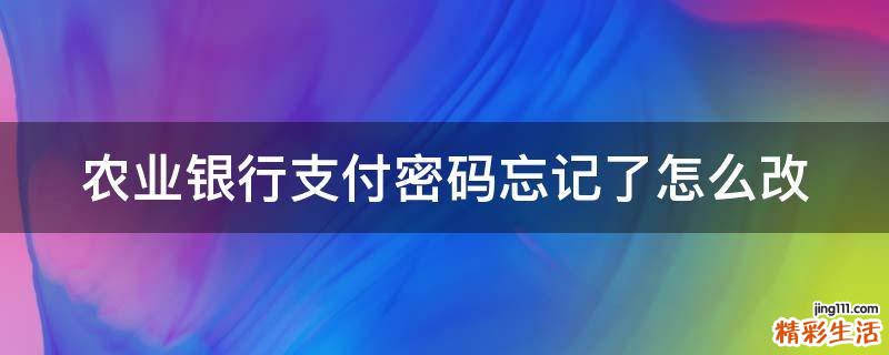 农业银行支付密码忘记了怎么改
