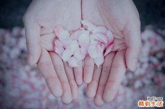 2 蒌蒿
