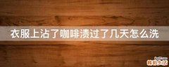 衣服上沾了咖啡渍过了几天怎么洗