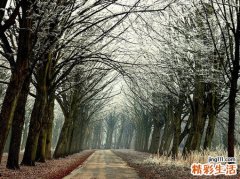怎样防晒效果最好