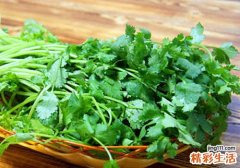 喝香菜水有什么好处