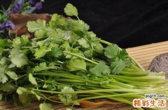 感冒能吃香菜吗
