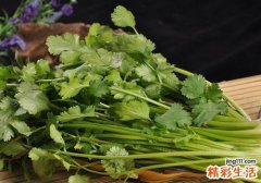 吃香菜的坏处