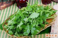 吃香菜的好处