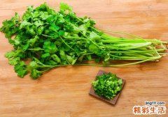 香菜和豆腐可以一起吃吗 香菜和豆腐一起怎么吃