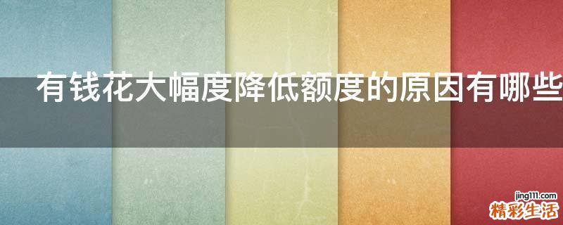有钱花大幅度降低额度的原因有哪些