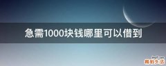 急需1000块钱哪里可以借到