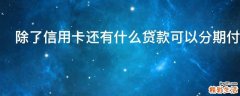 除了信用卡还有什么贷款可以分期付款