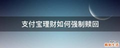 支付宝理财如何强制赎回