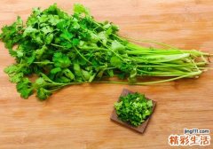 香菜芹菜可以一起吃吗 香菜和什么不能一起吃