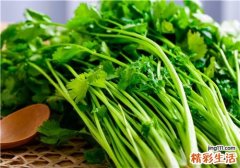 香菜杀精是真的吗 感冒可以吃香菜吗