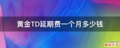 黄金TD延期费一个月多少钱
