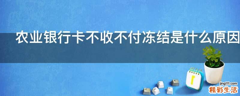 农业银行卡不收不付冻结是什么原因